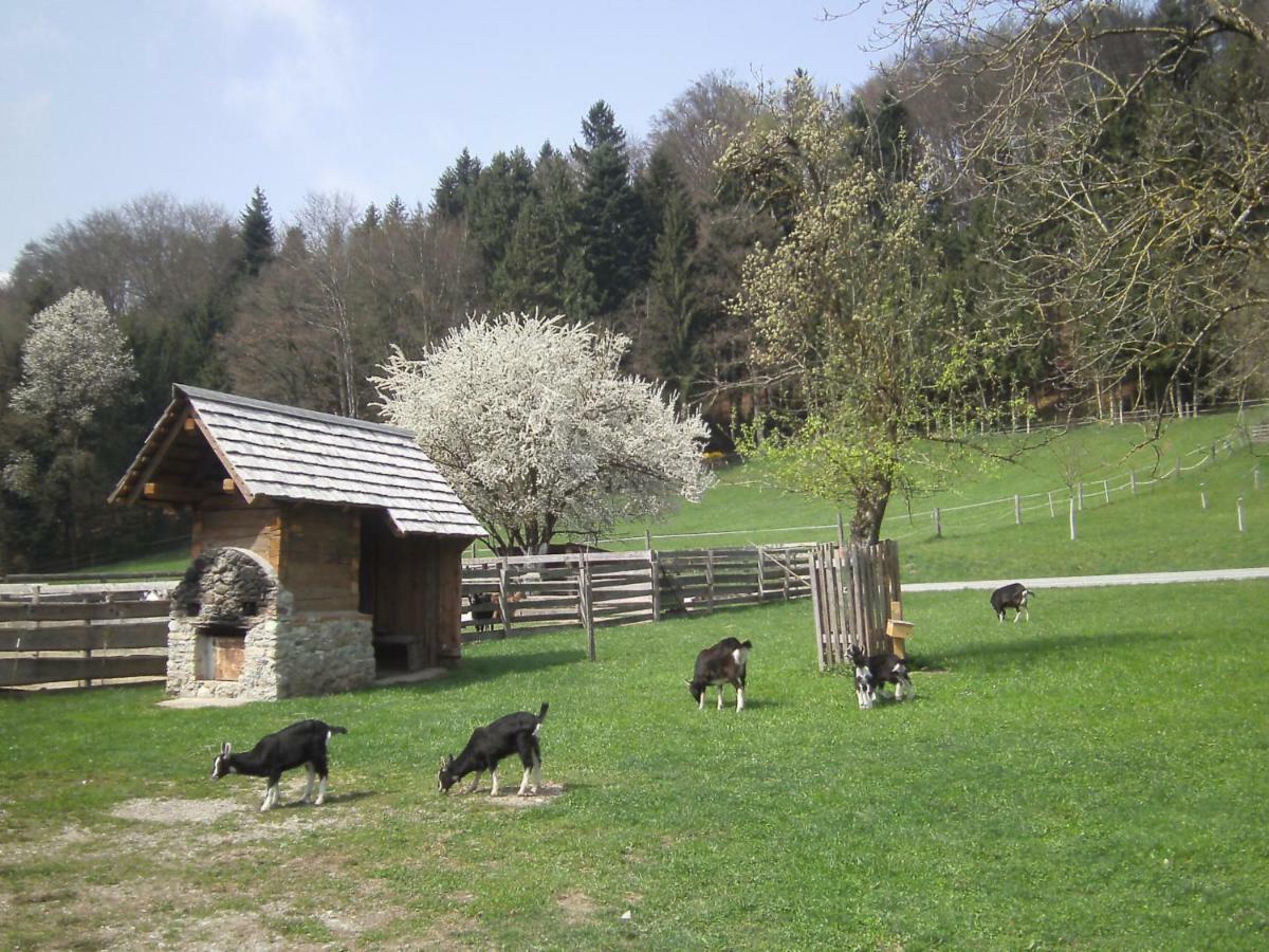 Villa Bauernhof Kaspergut Kirchberg bei Mattighofen Exterior foto